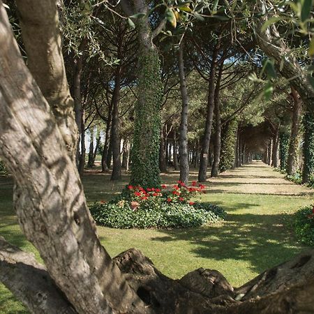 Hotel El Moli Сант-Педро-Пескадор Экстерьер фото